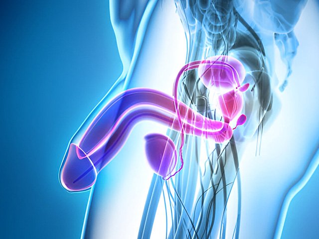 Erectile Dysfunction Treatment in Noida