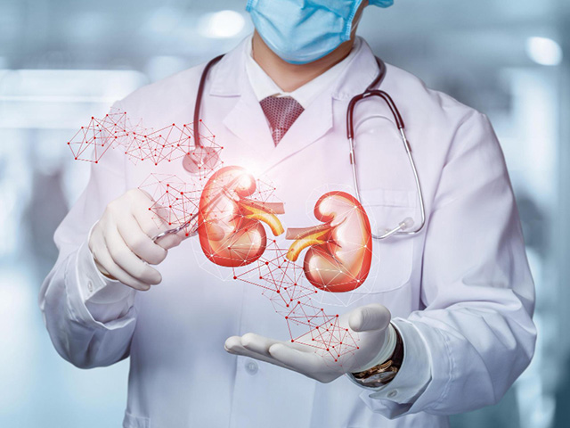 Best Kidney Stone Surgeon in Noida
