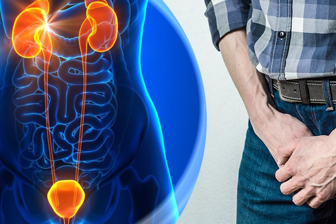 Diagnosis and Treatment of Prostatitis