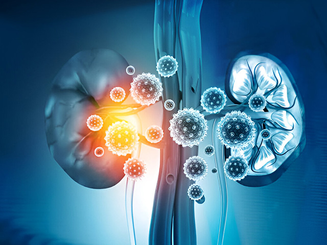 What Are the Symptoms of a UTI?